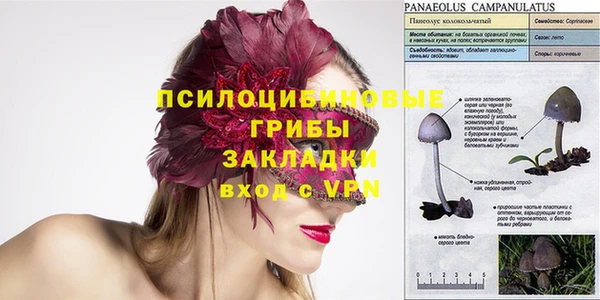 экстази Богородицк